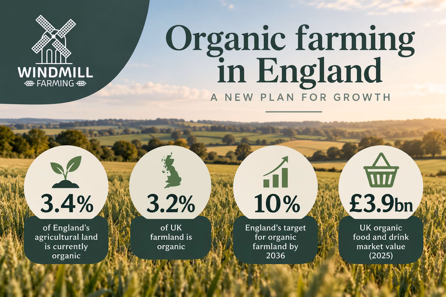 Infographic titled 'Organic farming in England: A new plan for growth' showing four key statistics over a field background: 3.4% of England's agricultural land is currently organic, 3.2% of UK farmland is organic, England's target is 10% organic farmland by 2036, and the UK organic food and drink market value is £3.9 billion in 2025. Windmill Farming logo is at the top left corner.